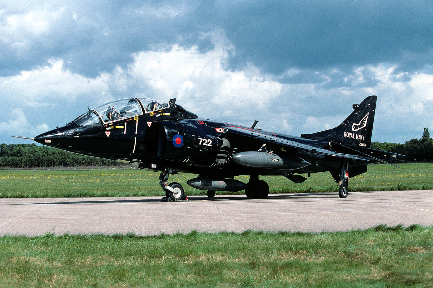 CSL06031 HARRIER T8 ZB604/722