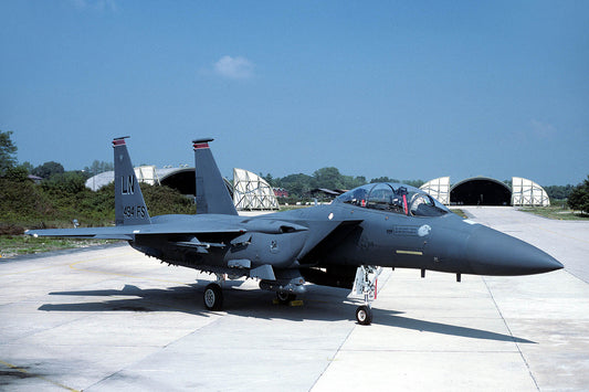 CSL06121 F-15E STRIKE EAGLE 91-0314/LN