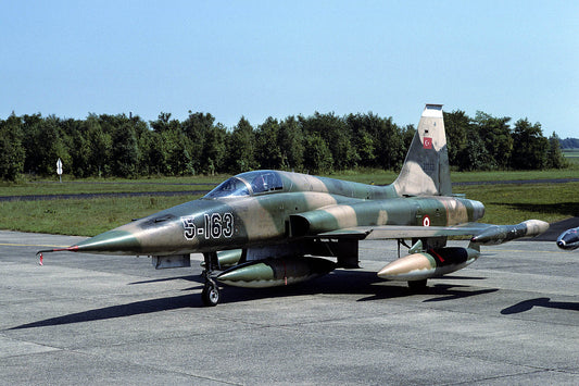 CSL06464 F-5A FREEDOM FIGHTER 21163/5-163