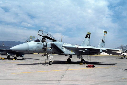 CSL06577 F-15A EAGLE 77-0141/WA
