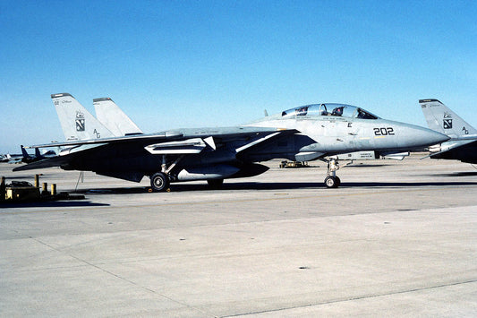 CSL07006 F-14B TOMCAT 161860/AG202 VF-11