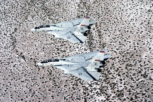 CSL07609 F-14A TOMCAT AJ101 & AJ100