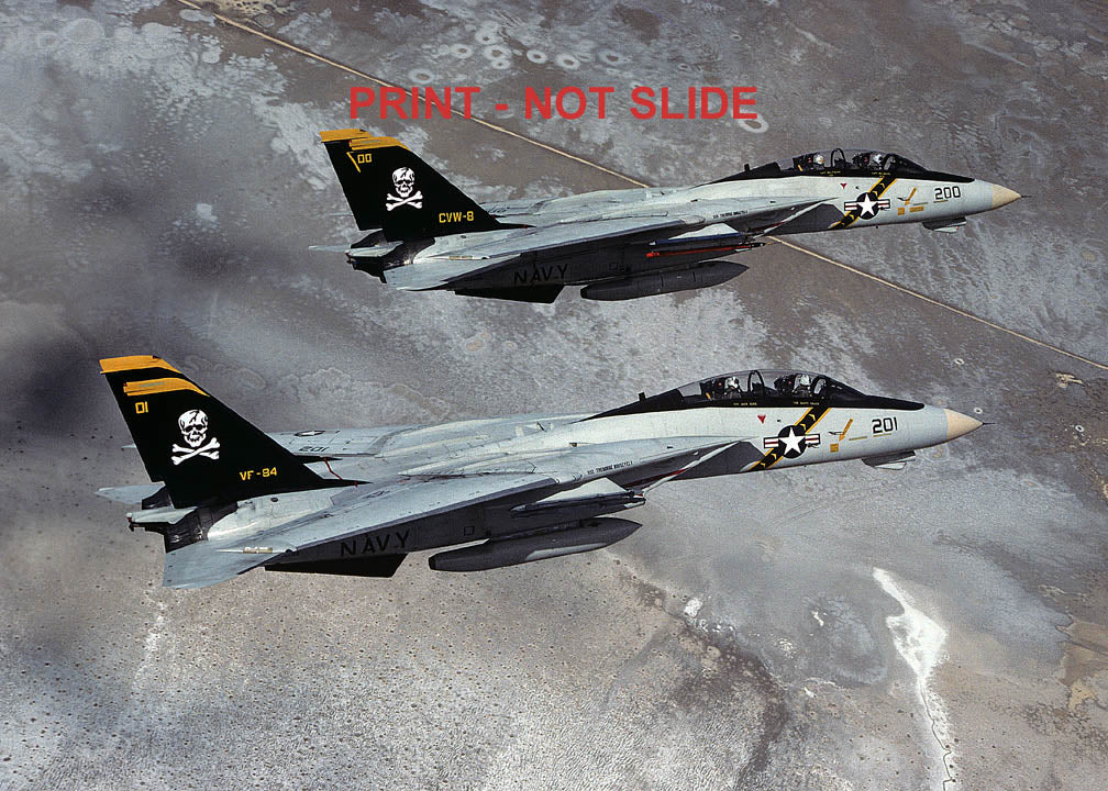 P00021 F-14A TOMCAT 162702&162688/AJ201&200