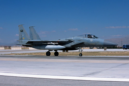 CSL05174 F-15C EAGLE 1312