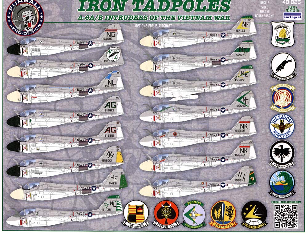 FUR048-025 Iron Tadpoles: A-6A/B Intruders of the Vietnam War