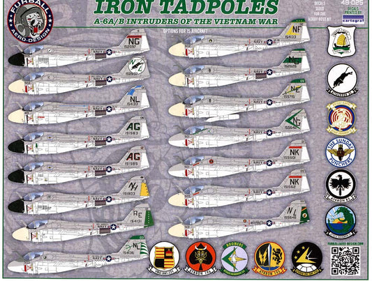 FUR048-025 Iron Tadpoles: A-6A/B Intruders of the Vietnam War